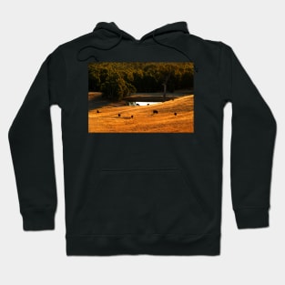 The Golden Hour Hoodie